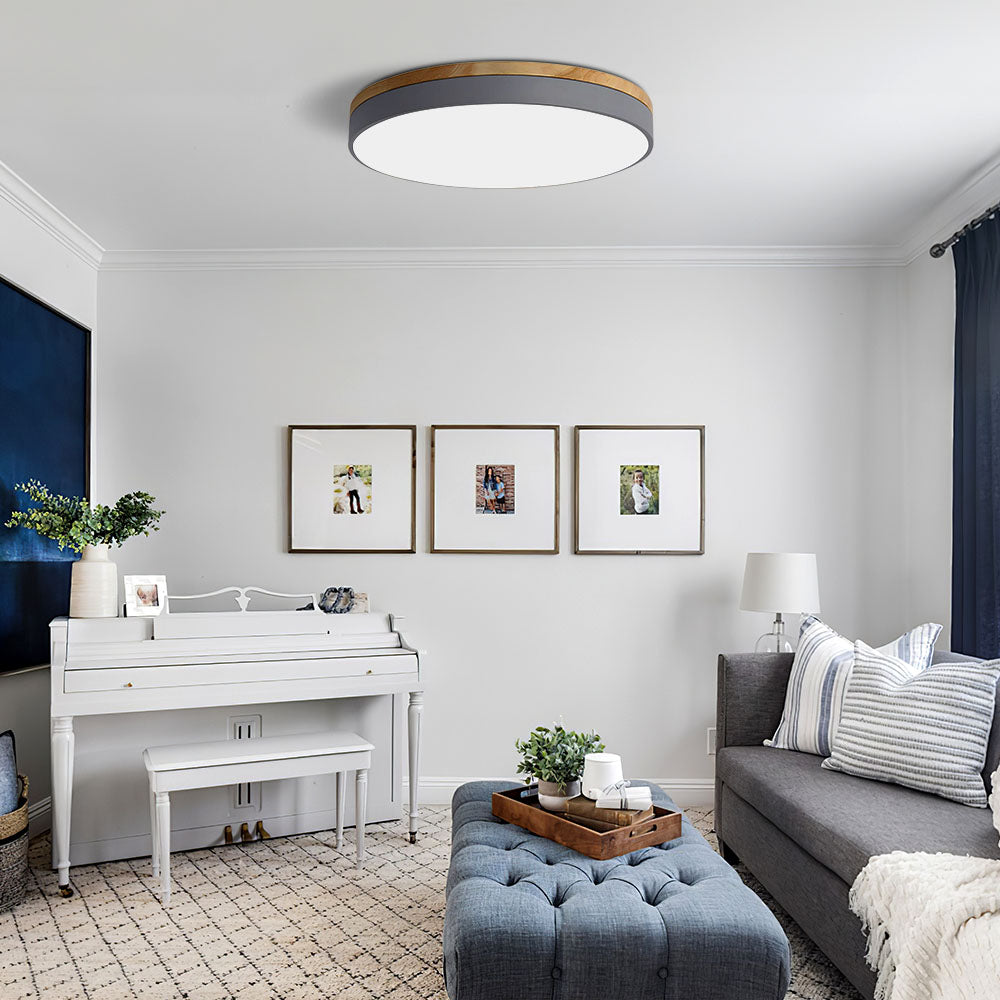 Disc Flush Ceiling Light – Minimal LED Round Fixture